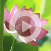 3. Meditation with beads (VIDEO)